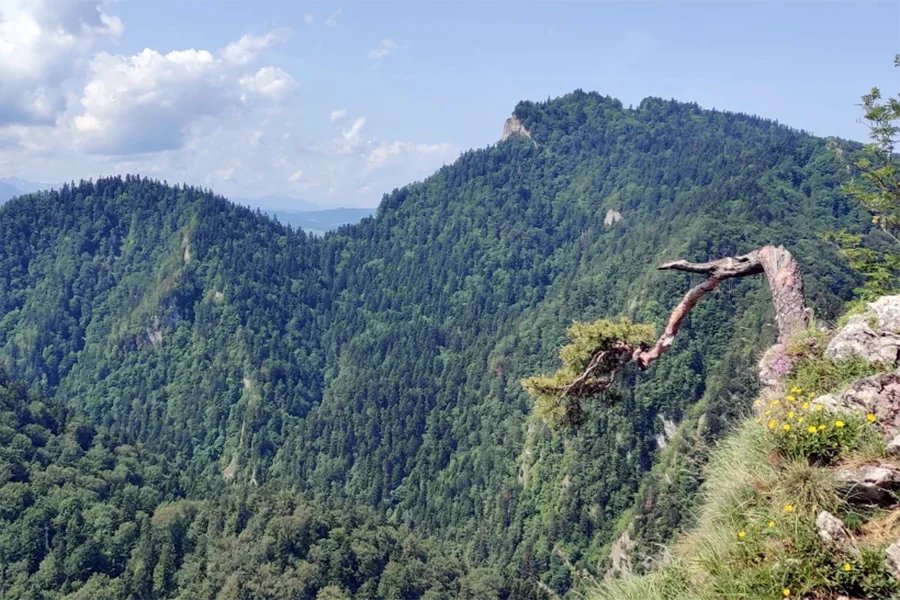 Pieniny pełne przygód